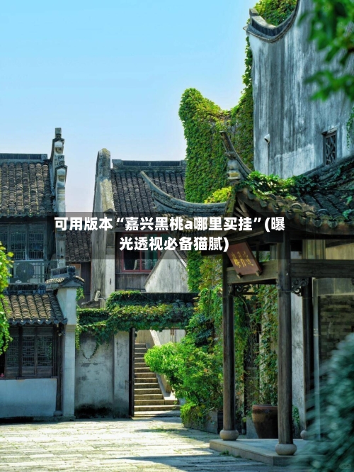 可用版本“嘉兴黑桃a哪里买挂”(曝光透视必备猫腻)-第2张图片