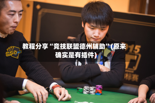 教程分享“竞技联盟德州辅助	”(原来确实是有插件)-第2张图片