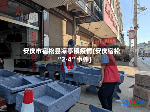 安庆市宿松县凉亭镇疫情(安庆宿松“2·4”事件)-第2张图片