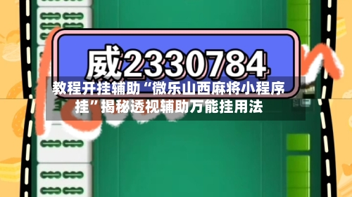 教程开挂辅助“微乐山西麻将小程序挂	”揭秘透视辅助万能挂用法-第2张图片