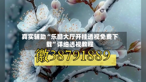 真实辅助“乐酷大厅开挂透视免费下载	”详细透视教程-第2张图片