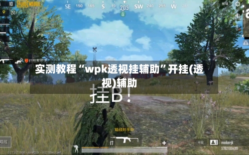 实测教程“wpk透视挂辅助”开挂(透视)辅助-第2张图片