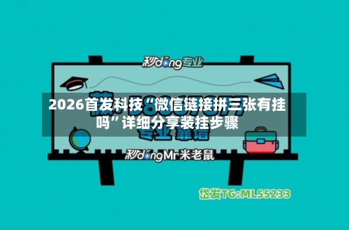 2026首发科技“微信链接拼三张有挂吗”详细分享装挂步骤-第2张图片