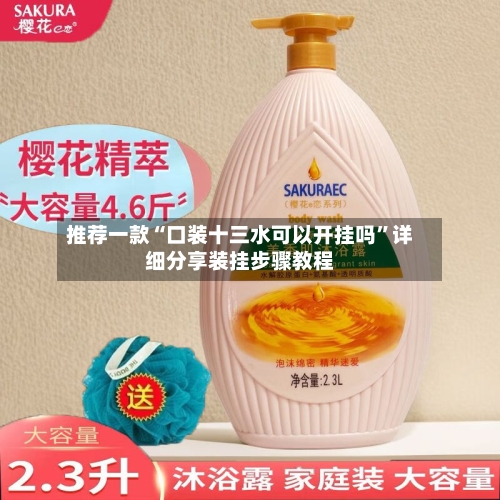 推荐一款“口装十三水可以开挂吗	”详细分享装挂步骤教程-第3张图片