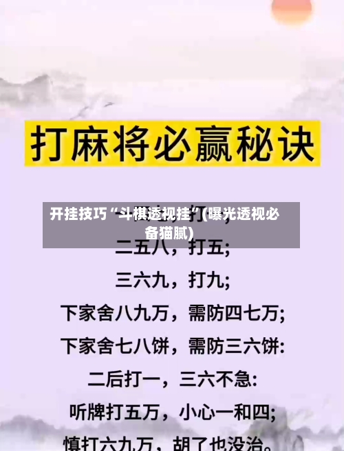 开挂技巧“斗棋透视挂”(曝光透视必备猫腻)-第2张图片