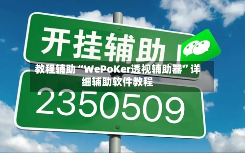教程辅助“WePoKer透视辅助器	”详细辅助软件教程-第3张图片