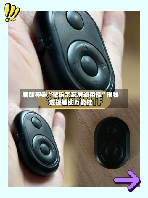 辅助神器“微乐亲友房通用挂”揭秘透视辅助万能挂-第3张图片