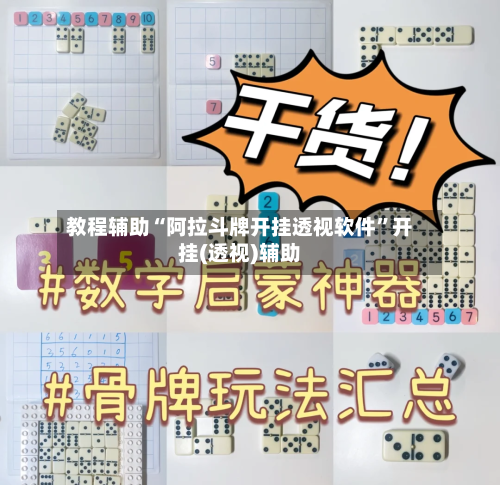 教程辅助“阿拉斗牌开挂透视软件	”开挂(透视)辅助-第1张图片