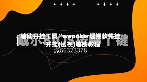 辅助开挂工具“wepoker透视软件挂”开挂(透视)辅助教程-第1张图片