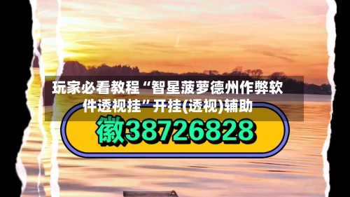 玩家必看教程“智星菠萝德州作弊软件透视挂”开挂(透视)辅助-第1张图片