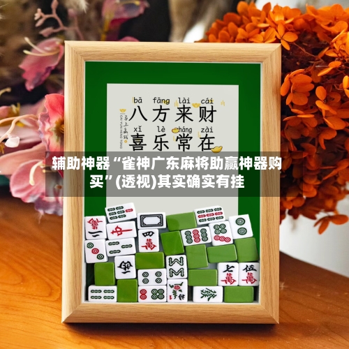 辅助神器“雀神广东麻将助赢神器购买”(透视)其实确实有挂-第2张图片