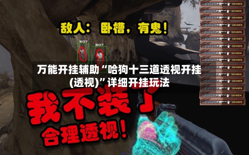 万能开挂辅助“哈狗十三道透视开挂(透视)	”详细开挂玩法-第2张图片