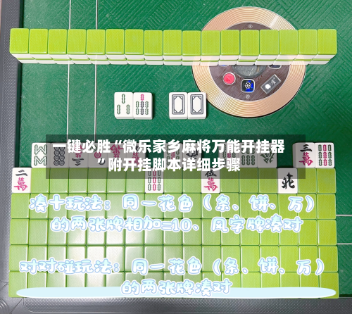 一键必胜“微乐家乡麻将万能开挂器	”附开挂脚本详细步骤-第2张图片