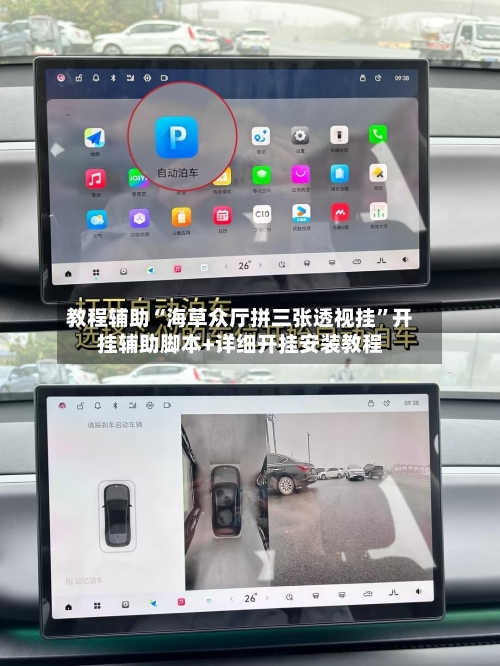 教程辅助“海草众厅拼三张透视挂”开挂辅助脚本+详细开挂安装教程-第1张图片