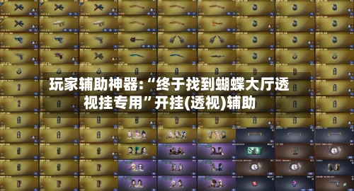 玩家辅助神器:“终于找到蝴蝶大厅透视挂专用	”开挂(透视)辅助-第1张图片