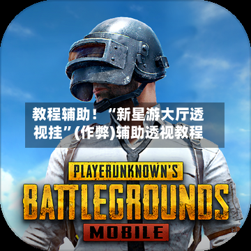 教程辅助！“新星游大厅透视挂”(作弊)辅助透视教程-第1张图片