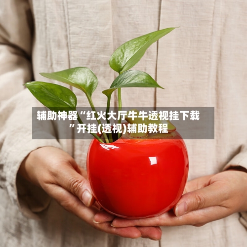 辅助神器“红火大厅牛牛透视挂下载”开挂(透视)辅助教程-第2张图片
