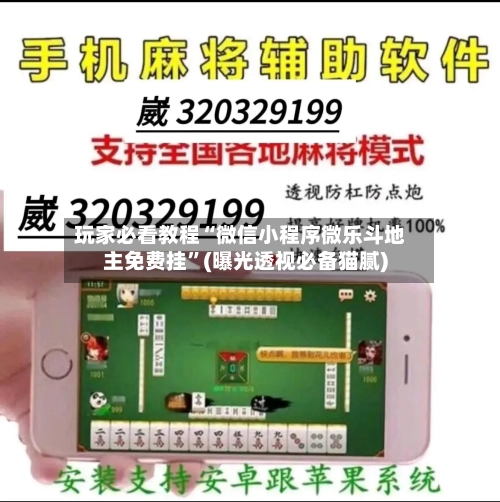 玩家必看教程“微信小程序微乐斗地主免费挂”(曝光透视必备猫腻)-第2张图片