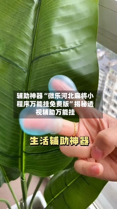 辅助神器“微乐河北麻将小程序万能挂免费版	”揭秘透视辅助万能挂-第1张图片