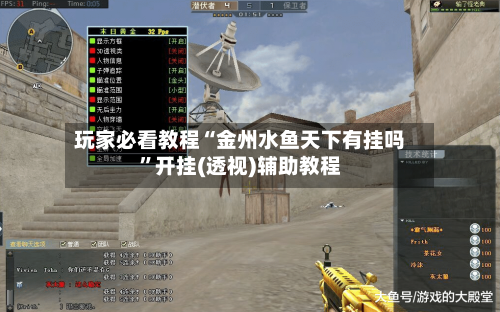 玩家必看教程“金州水鱼天下有挂吗”开挂(透视)辅助教程-第3张图片