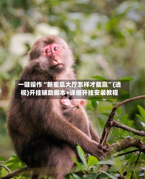 一键操作“新蜜瓜大厅怎样才能赢”(透视)开挂辅助脚本+详细开挂安装教程-第1张图片