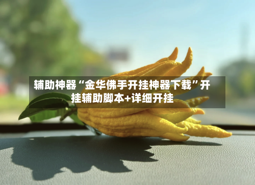 辅助神器“金华佛手开挂神器下载”开挂辅助脚本+详细开挂-第1张图片