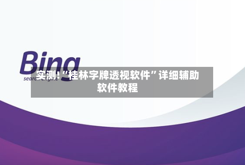 实测!“桂林字牌透视软件”详细辅助软件教程-第2张图片