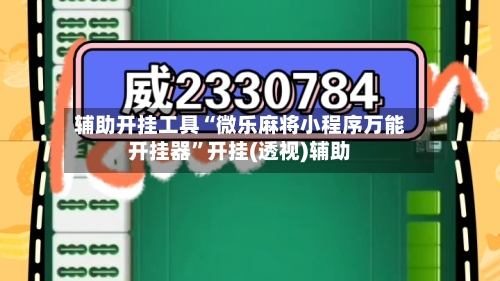 辅助开挂工具“微乐麻将小程序万能开挂器”开挂(透视)辅助-第2张图片