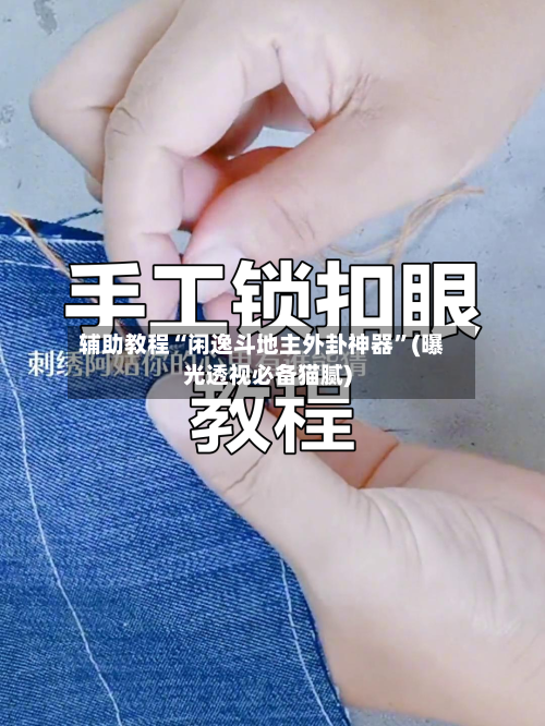 辅助教程“闲逸斗地主外卦神器”(曝光透视必备猫腻)-第1张图片