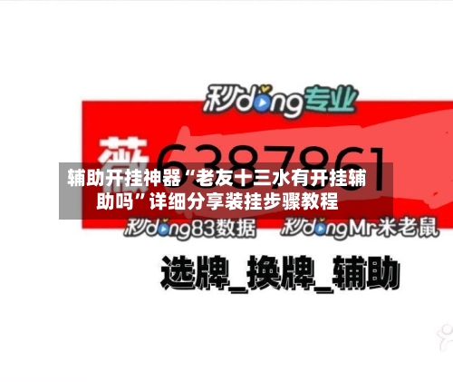 辅助开挂神器“老友十三水有开挂辅助吗”详细分享装挂步骤教程-第2张图片