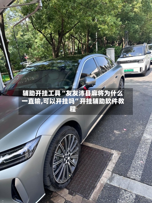 辅助开挂工具“友友沛县麻将为什么一直输,可以开挂吗”开挂辅助软件教程-第1张图片