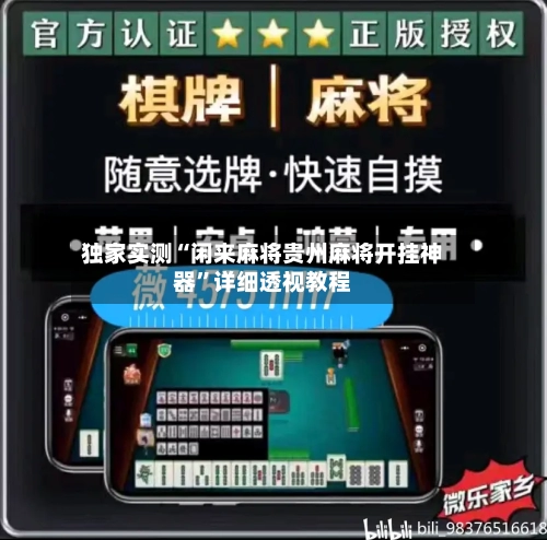独家实测“闲来麻将贵州麻将开挂神器”详细透视教程-第1张图片