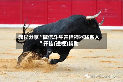 教程分享“微信斗牛开挂神器联系人”开挂(透视)辅助-第3张图片