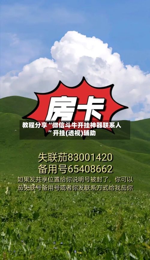 教程分享“微信斗牛开挂神器联系人”开挂(透视)辅助-第2张图片