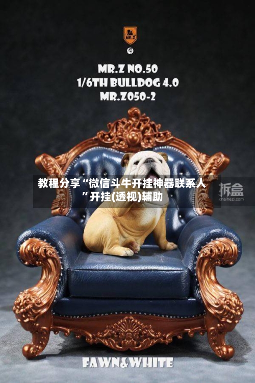 教程分享“微信斗牛开挂神器联系人	”开挂(透视)辅助-第1张图片