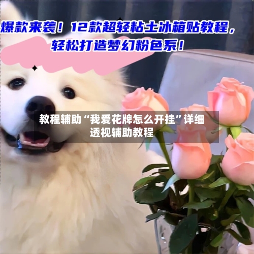 教程辅助“我爱花牌怎么开挂	”详细透视辅助教程-第1张图片