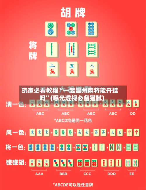 玩家必看教程“一起温州麻将能开挂吗”(曝光透视必备猫腻)-第2张图片