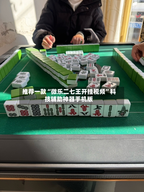 推荐一款“微乐二七王开挂视频”科技辅助神器手机版-第3张图片