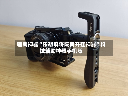 辅助神器“乐胡麻将陇南开挂神器”科技辅助神器手机版-第1张图片