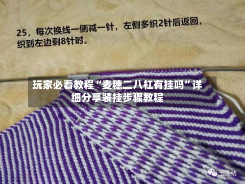 玩家必看教程“麦穗二八杠有挂吗”详细分享装挂步骤教程-第1张图片