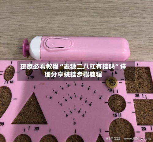 玩家必看教程“麦穗二八杠有挂吗	”详细分享装挂步骤教程-第2张图片