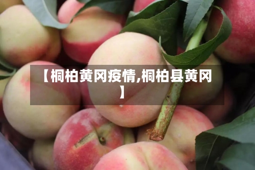 【桐柏黄冈疫情,桐柏县黄冈】-第2张图片