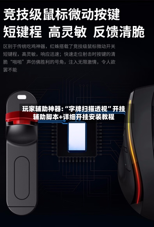 玩家辅助神器:“字牌扫描透视	”开挂辅助脚本+详细开挂安装教程-第1张图片