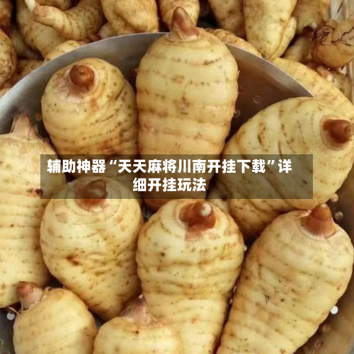 辅助神器“天天麻将川南开挂下载”详细开挂玩法-第1张图片