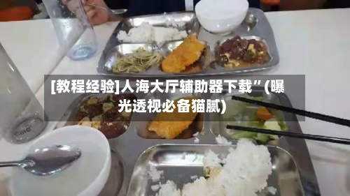 [教程经验]人海大厅辅助器下载”(曝光透视必备猫腻)-第2张图片