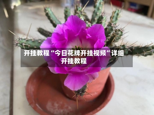 开挂教程“今日花牌开挂视频”详细开挂教程-第3张图片