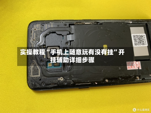 实操教程“手机上随意玩有没有挂	”开挂辅助详细步骤-第2张图片