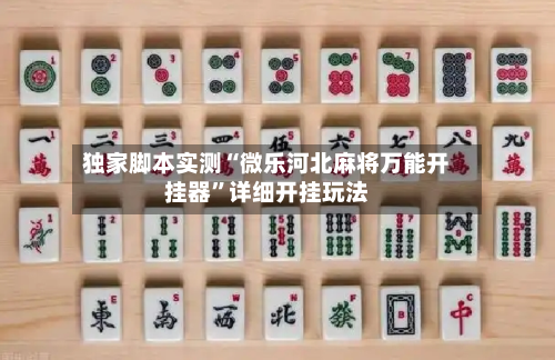 独家脚本实测“微乐河北麻将万能开挂器”详细开挂玩法-第1张图片
