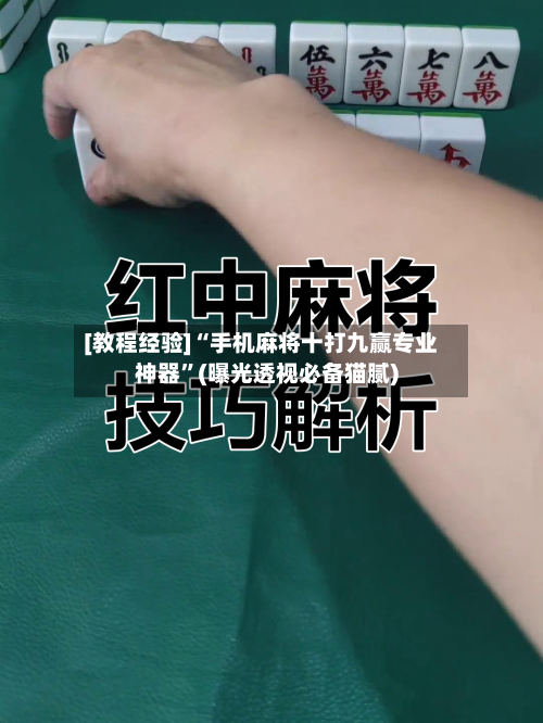 [教程经验]“手机麻将十打九赢专业神器”(曝光透视必备猫腻)-第2张图片