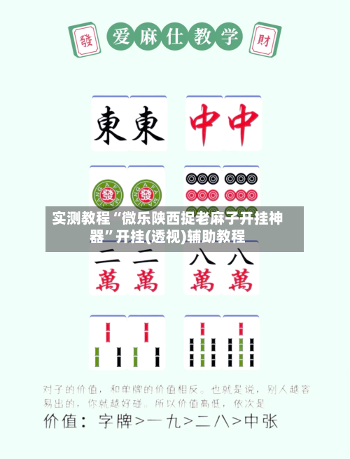 实测教程“微乐陕西捉老麻子开挂神器	”开挂(透视)辅助教程-第2张图片